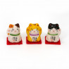 conjunto de 6 gatos japoneses, MANEKINEKO, amuleto