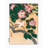 Japanese print, Camellia and birds, OHARA KOSON