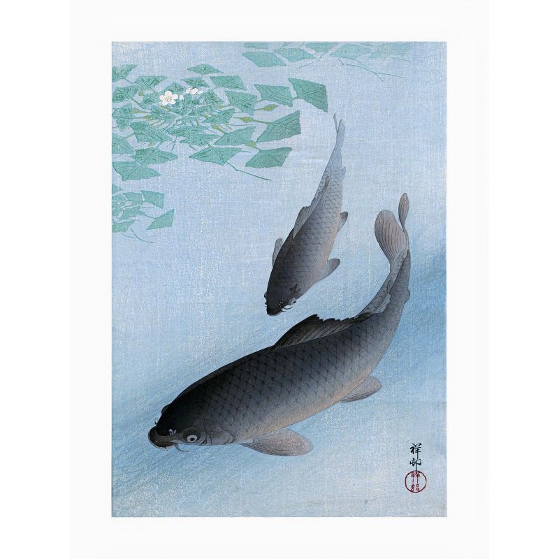 Estampe japonaise, deux carpes et plantes aquatiques en fleurs , OHARA KOSON