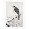 Japanese print, Falcon in the snow, OHARA KOSON