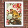 illustration japonaise "Macaca fuscata" Le macaque japonais, by ダヴィッド