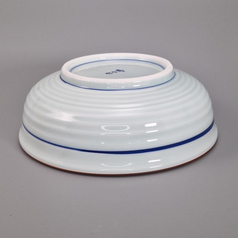 Ciotola di riso in ceramica giapponese, motivo bianco e tradizionale blu, FUKEI