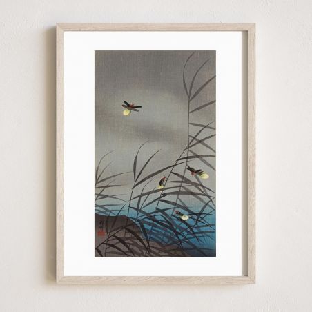 Japanese print, Fireflies, OHARA KOSON