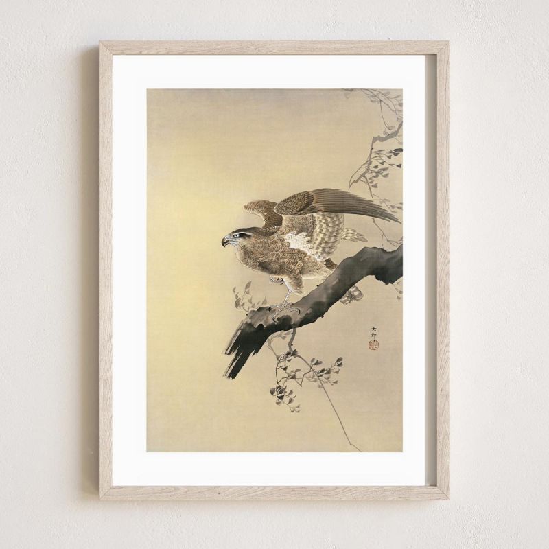 Stampa giapponese, Un'aquila 1, OHARA KOSON