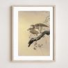 Japanischer Druck, Ein Adler 1, OHARA KOSON