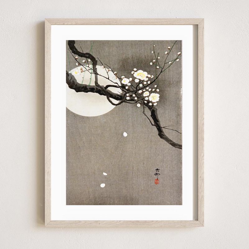 Stampa giapponese, fiori di ciliegio, OHARA KOSON