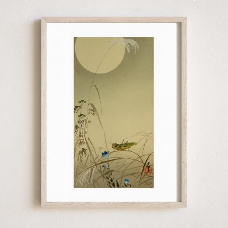 Japanischer Druck, Heuschrecke und Vollmond, OHARA KOSON