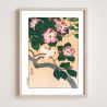 Japanese print, Camellia and birds, OHARA KOSON